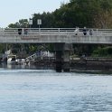 Manatees2010 (6)